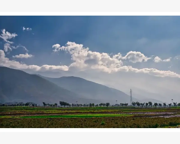 B2B经销商窜货隐蔽证据链关键要素