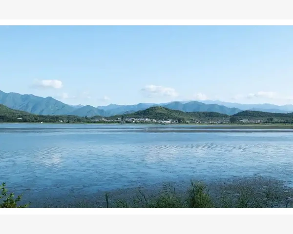 儿童止咳颗粒化痰效果如何？中医科普解读